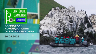 Непутевые заметки. Выпуск от 20.09.2026