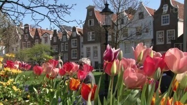 Нидерланды: Гаага и парк цветов Кёкенхоф. Непутевые заметки. Выпуск от 06.03.2016