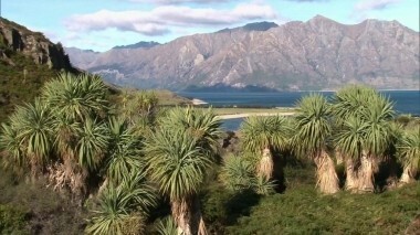 Новая Зеландия: Роторуа, термальные источники и культура маори. Непутевые заметки. Выпуск от 29.11.2015