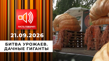 Битва урожаев. Дачные гиганты. Пусть говорят. Выпуск от 21.09.2026