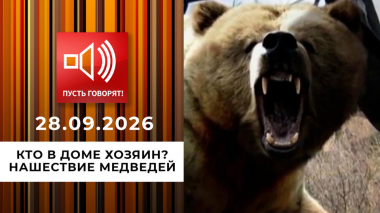 Кто в доме хозяин? Нашествие медведей. Пусть говорят. Выпуск от 28.09.2026