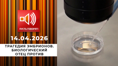 Трагедия эмбрионов. Биологический отец против. Пусть говорят. Выпуск от 14.04.2026