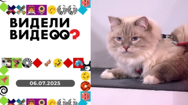 Видели видео? Выпуск от 06.07.2025