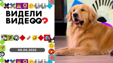 Видели видео? Выпуск от 08.06.2025
