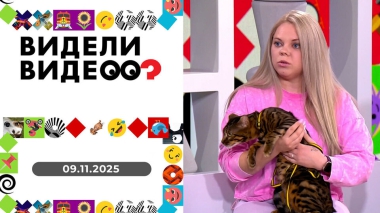 Видели видео? Выпуск от 09.11.2025