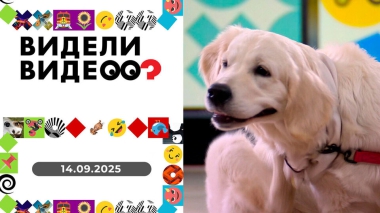Видели видео? Выпуск от 14.09.2025