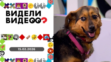 Видели видео. Выпуск от 15.02.2026