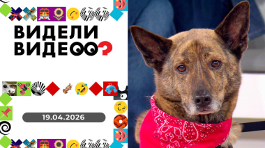 Видели видео? Выпуск от 19 04.2026