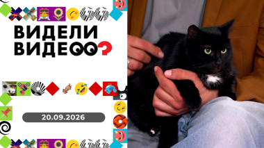 Видели видео? Выпуск от 20.09.2026