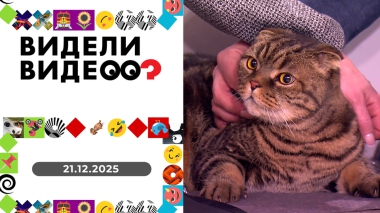 Видели видео? Выпуск от 21.12.2025