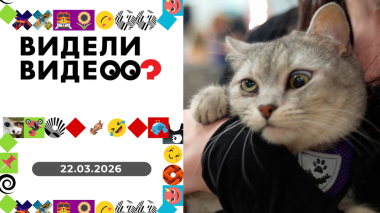 Видели видео? Выпуск от 22.03.2026