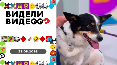 Видели видео? Выпуск от 23.08.2026