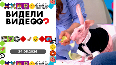 Видели видео? Выпуск от 24.05.2026