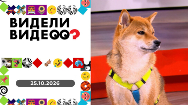 Видели видео? Выпуск от 25.10.2026