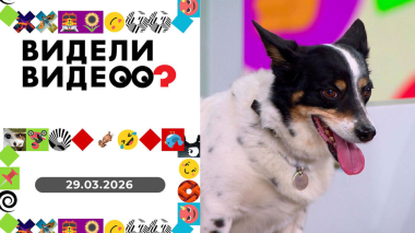 Видели видео? Выпуск от 29.03.2026